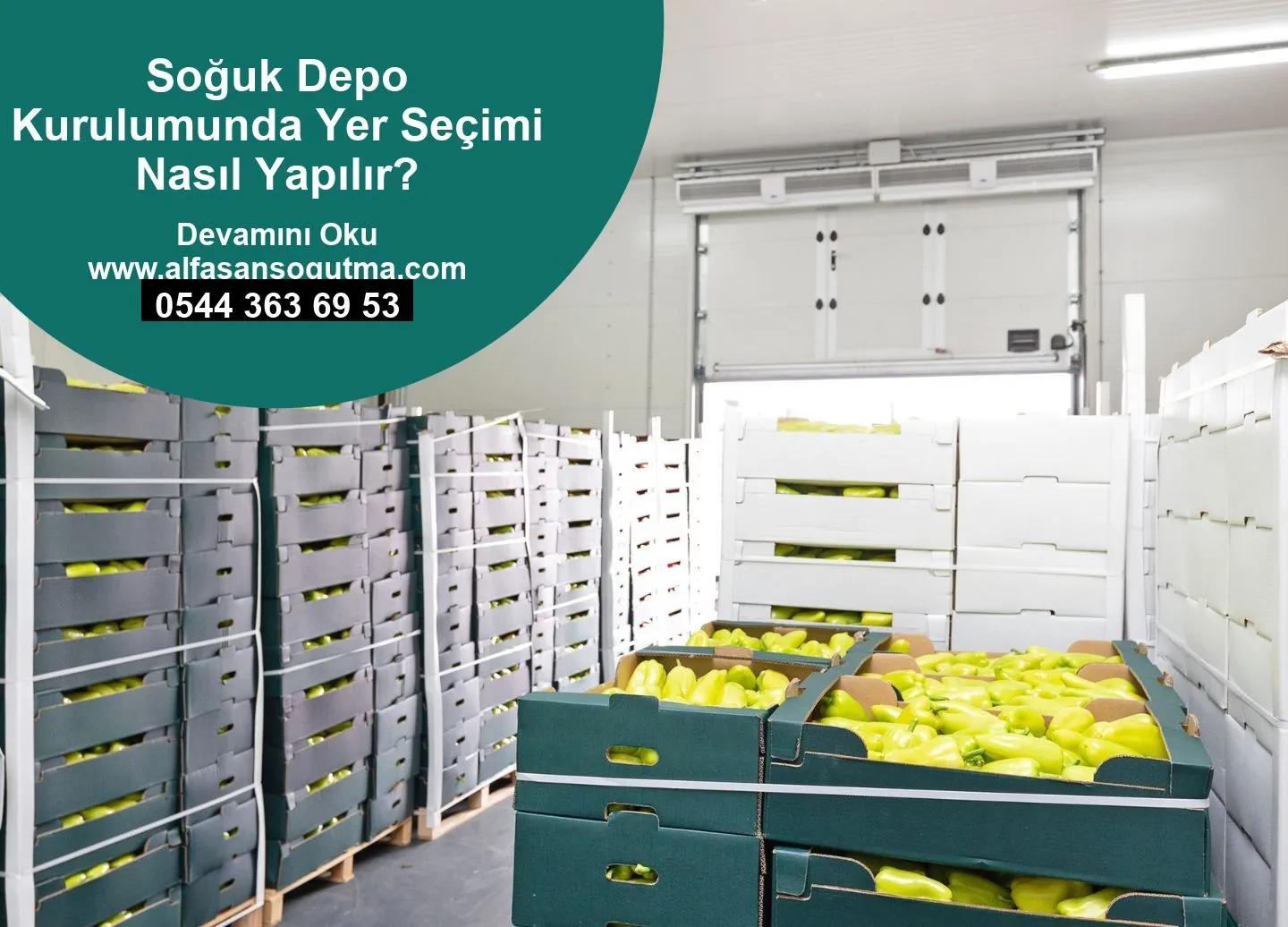 Soğuk Depo Kurulumunda Yer Seçimi Nasıl Yapılır?